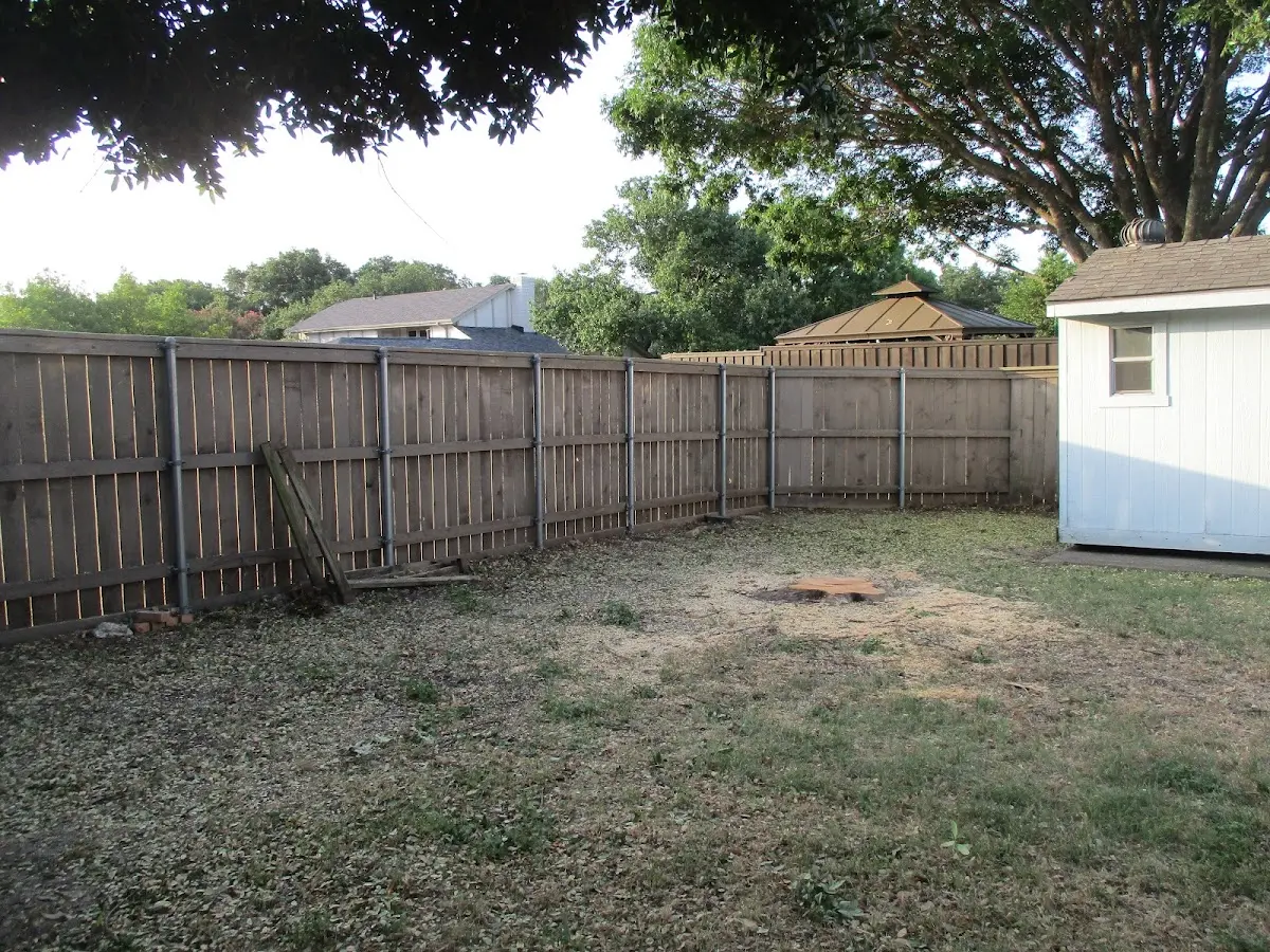 Cleared yard after professional tree removal in Lelia Lake