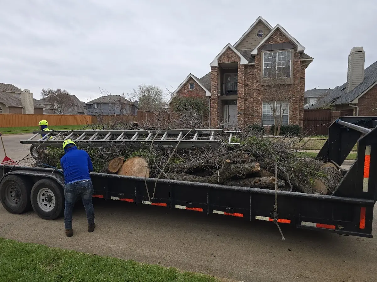 Expert Tree Fertilization with proper safety equipment in Lelia Lake